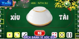 cach-danh-vi-xoc-dia